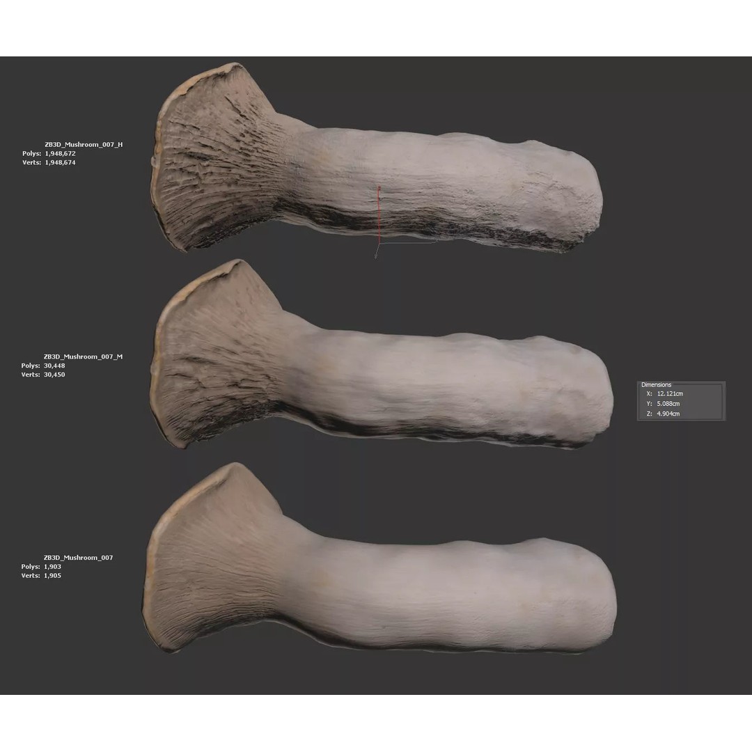 King Trumpet Mushroom 3D Model – Photorealistic PBR Asset, FBX - View 7
