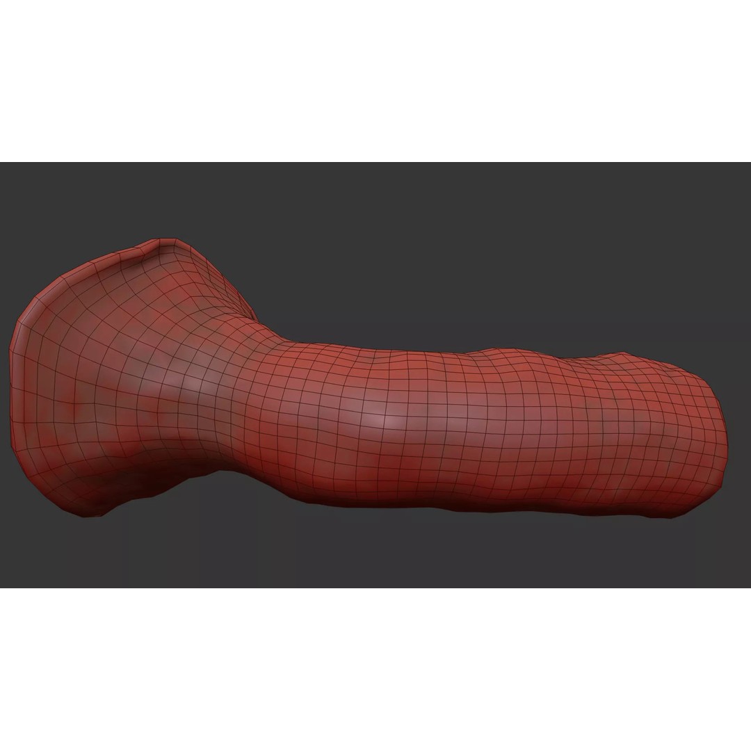 King Trumpet Mushroom 3D Model – Photorealistic PBR Asset, FBX - View 8