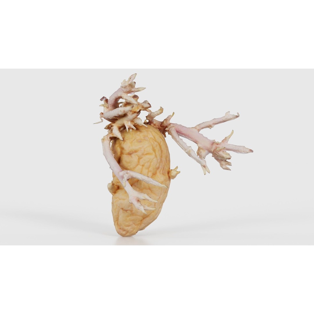 Shriveled Potato 3D Model – Low Poly Game Asset, FBX, PBR Textures