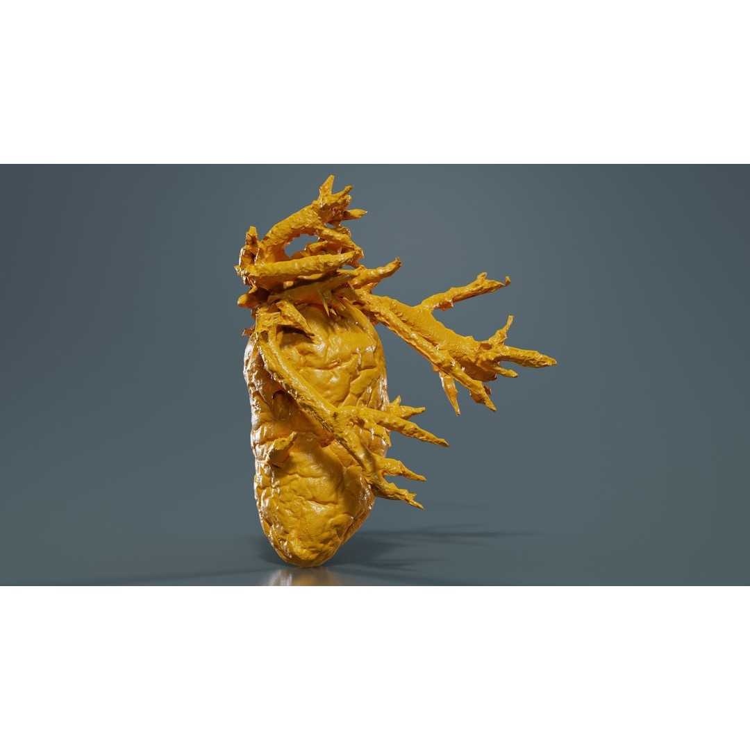 Shriveled Potato 3D Model – Low Poly Game Asset, FBX, PBR Textures - View 14