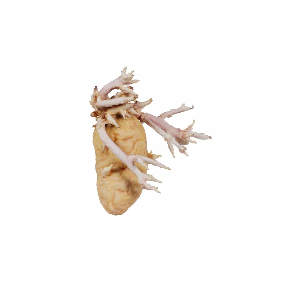 Shriveled Potato 3D Model – Low Poly Game Asset, FBX, PBR Textures - View 2