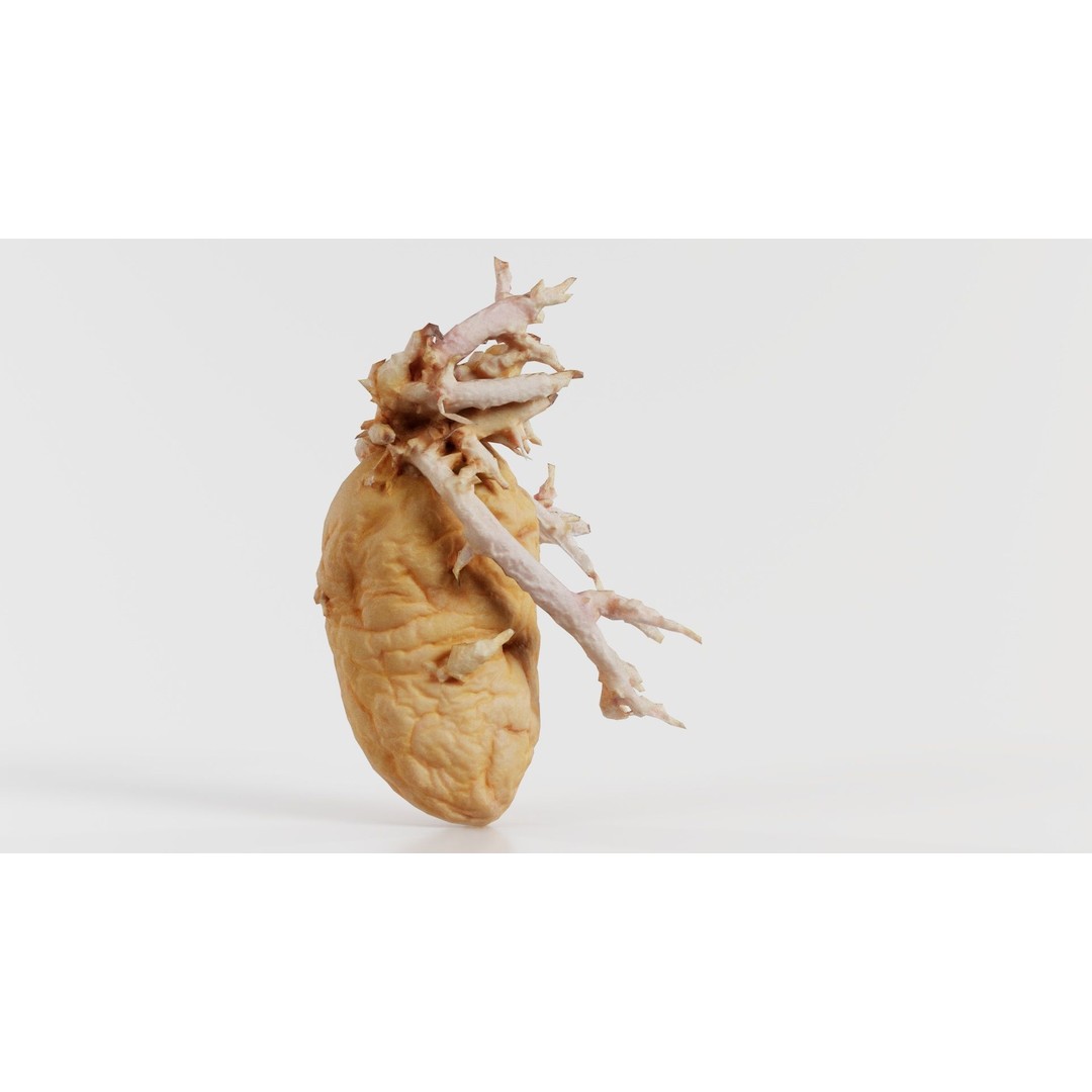 Shriveled Potato 3D Model – Low Poly Game Asset, FBX, PBR Textures - View 3