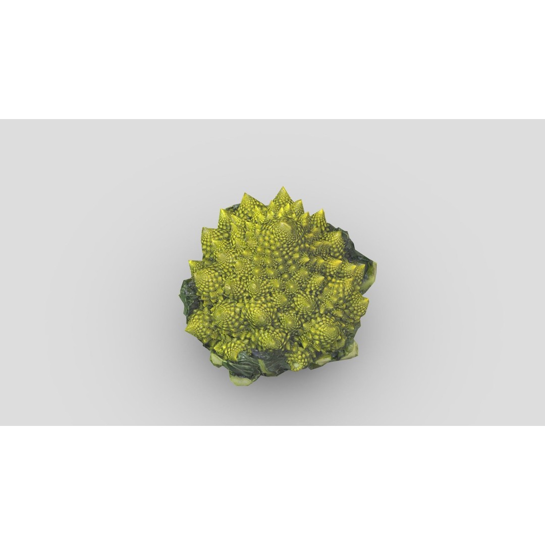 Romanesco 3D Model – Low Poly Vegetable Asset, PBR Textures - View 10