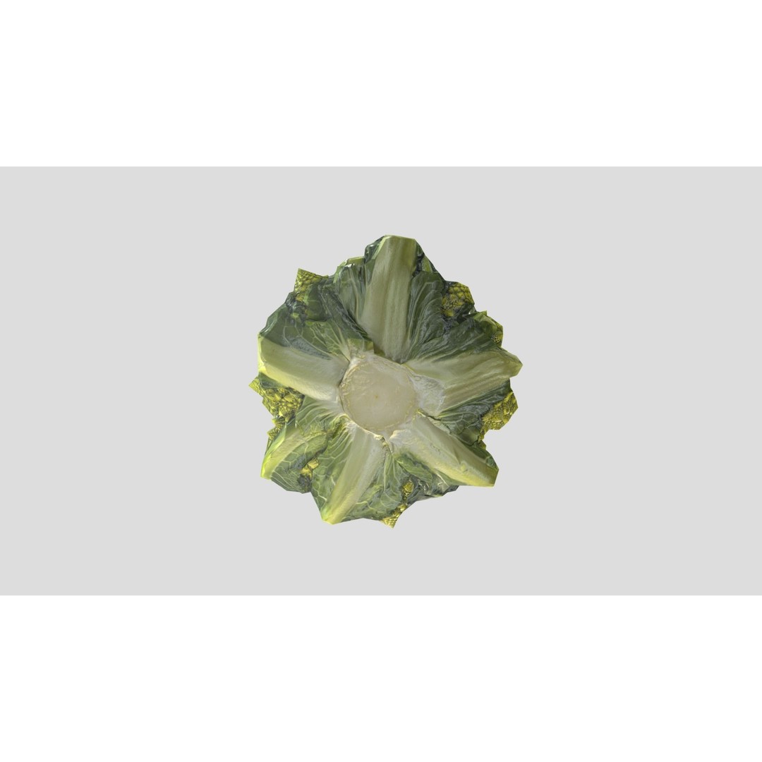 Romanesco 3D Model – Low Poly Vegetable Asset, PBR Textures - View 12