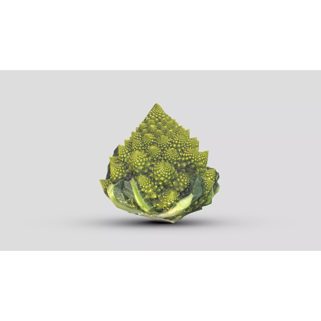 Romanesco 3D Model – Low Poly Vegetable Asset, PBR Textures - View 2