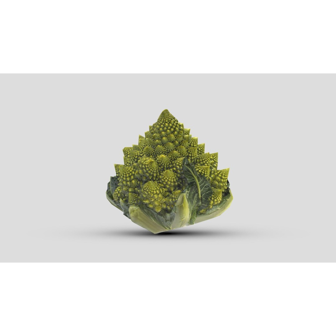 Romanesco 3D Model – Low Poly Vegetable Asset, PBR Textures - View 4
