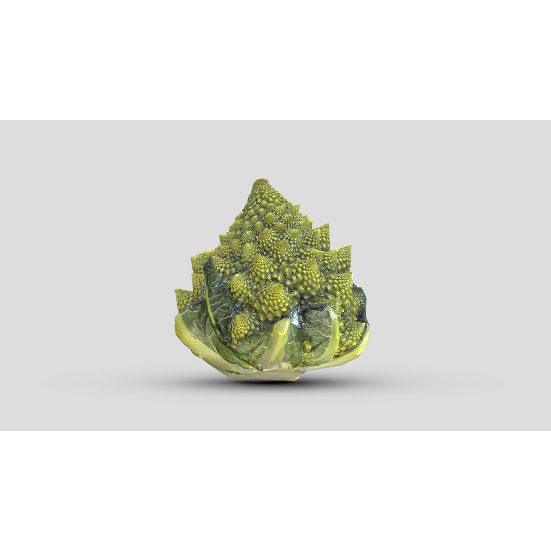 Romanesco 3D Model – Low Poly Vegetable Asset, PBR Textures - View 6