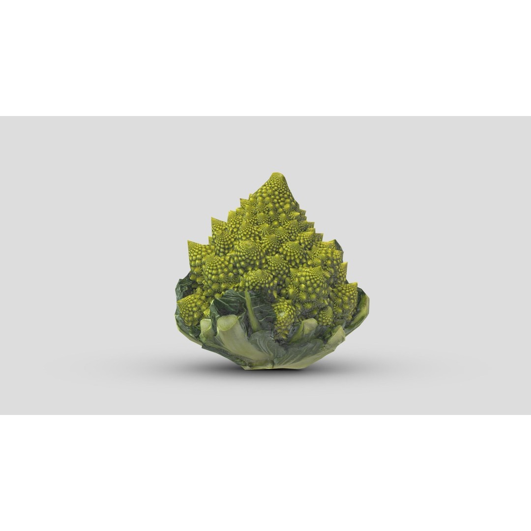 Romanesco 3D Model – Low Poly Vegetable Asset, PBR Textures - View 8