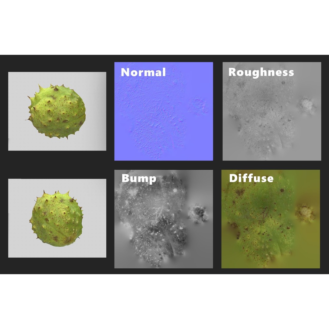 Chestnut 3D Model – Realistic Low-Poly Asset with PBR Textures