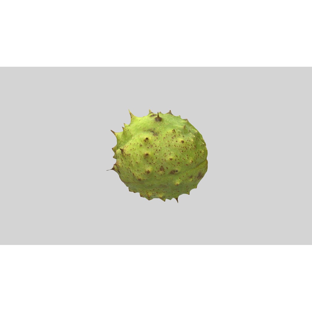 Chestnut 3D Model – Realistic Low-Poly Asset with PBR Textures - View 10