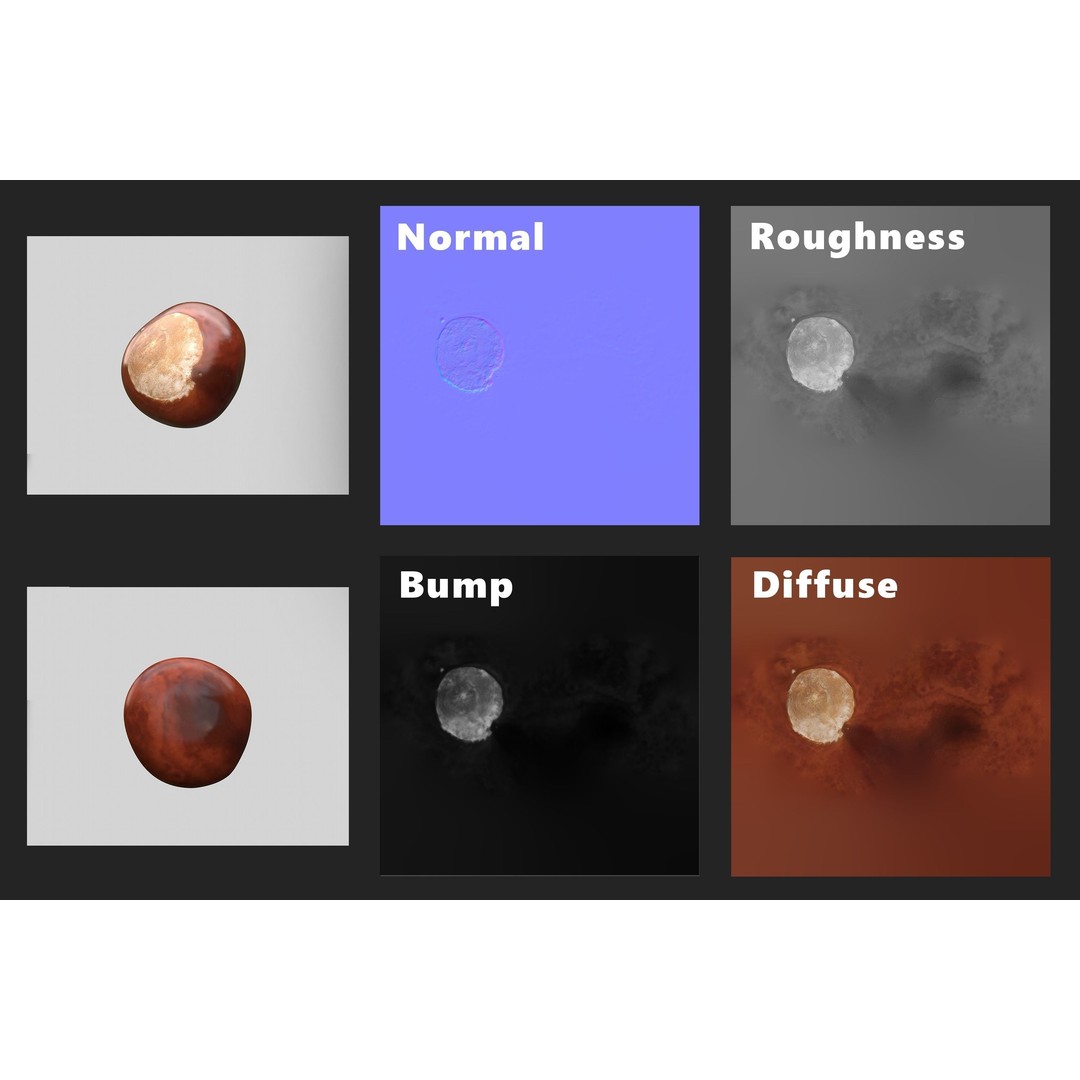 Chestnut 3D Model – Realistic Low-Poly Asset with PBR Textures - View 12