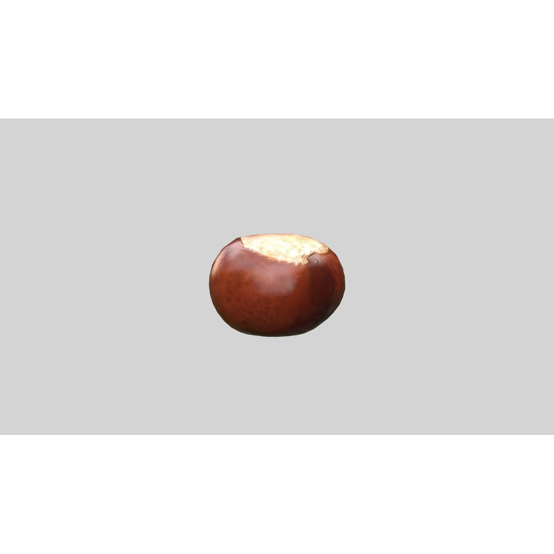 Chestnut 3D Model – Realistic Low-Poly Asset with PBR Textures - View 4