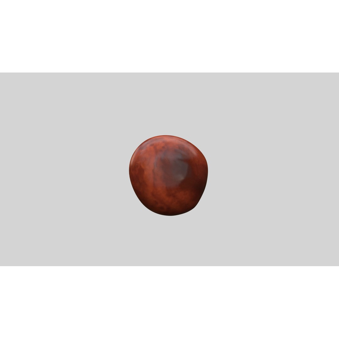 Chestnut 3D Model – Realistic Low-Poly Asset with PBR Textures - View 5