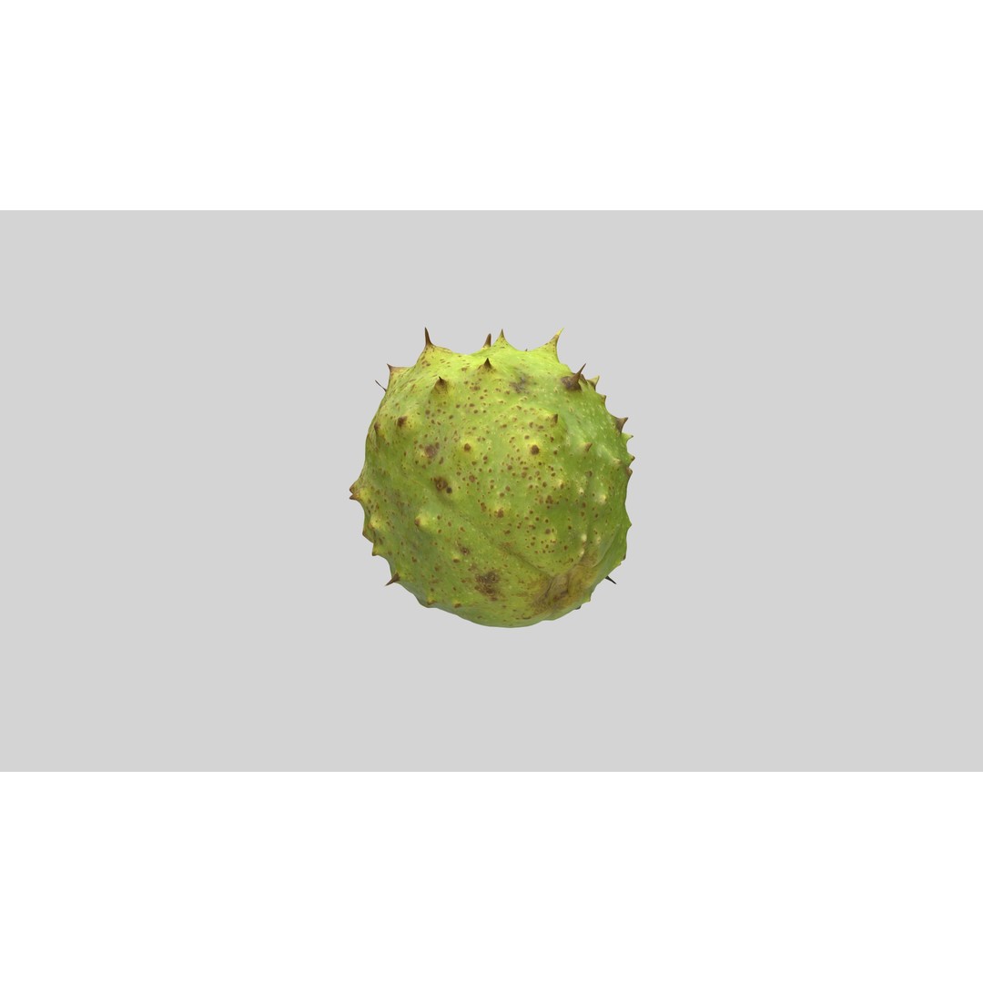 Chestnut 3D Model – Realistic Low-Poly Asset with PBR Textures - View 8