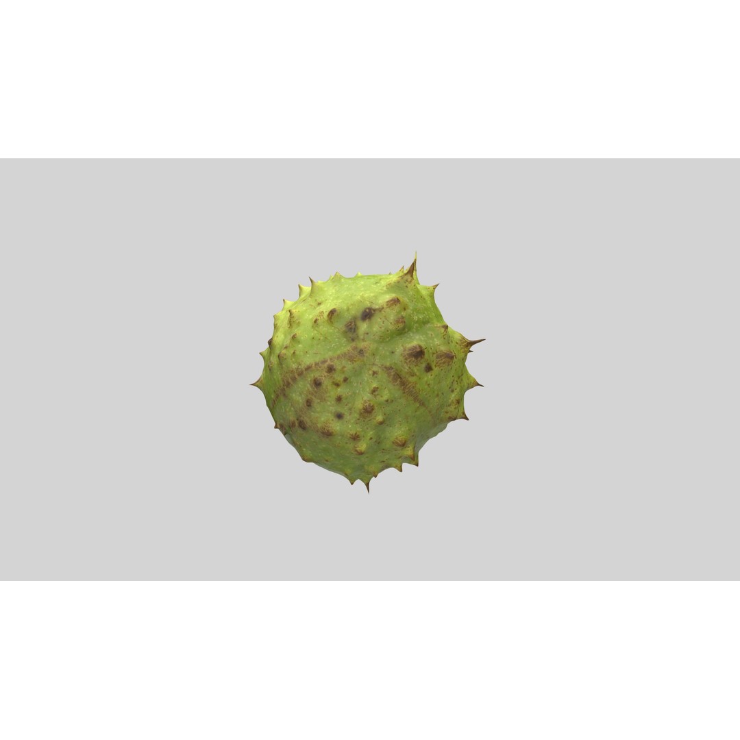 Chestnut 3D Model – Realistic Low-Poly Asset with PBR Textures - View 9