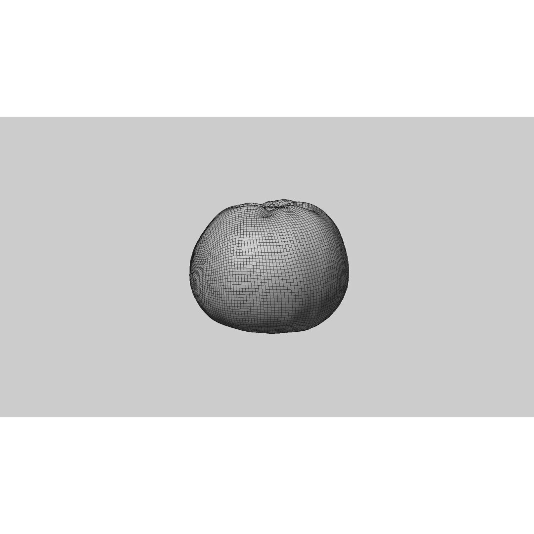 Mandarin 3D Model – Realistic PBR Asset for Food Visualization - View 11