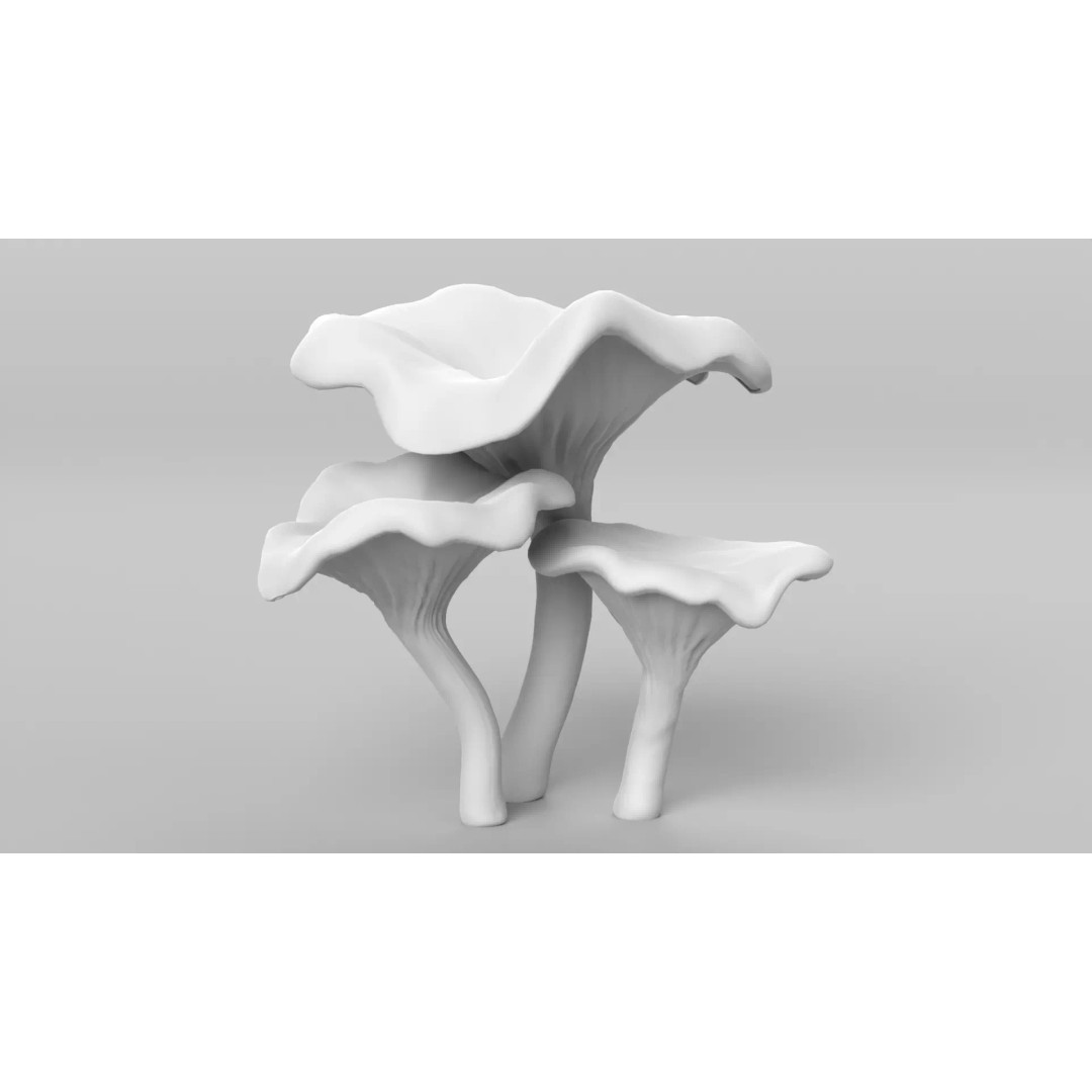 Chanterelle Mushrooms 3D Model – High Poly PBR Game Asset, FBX - View 11