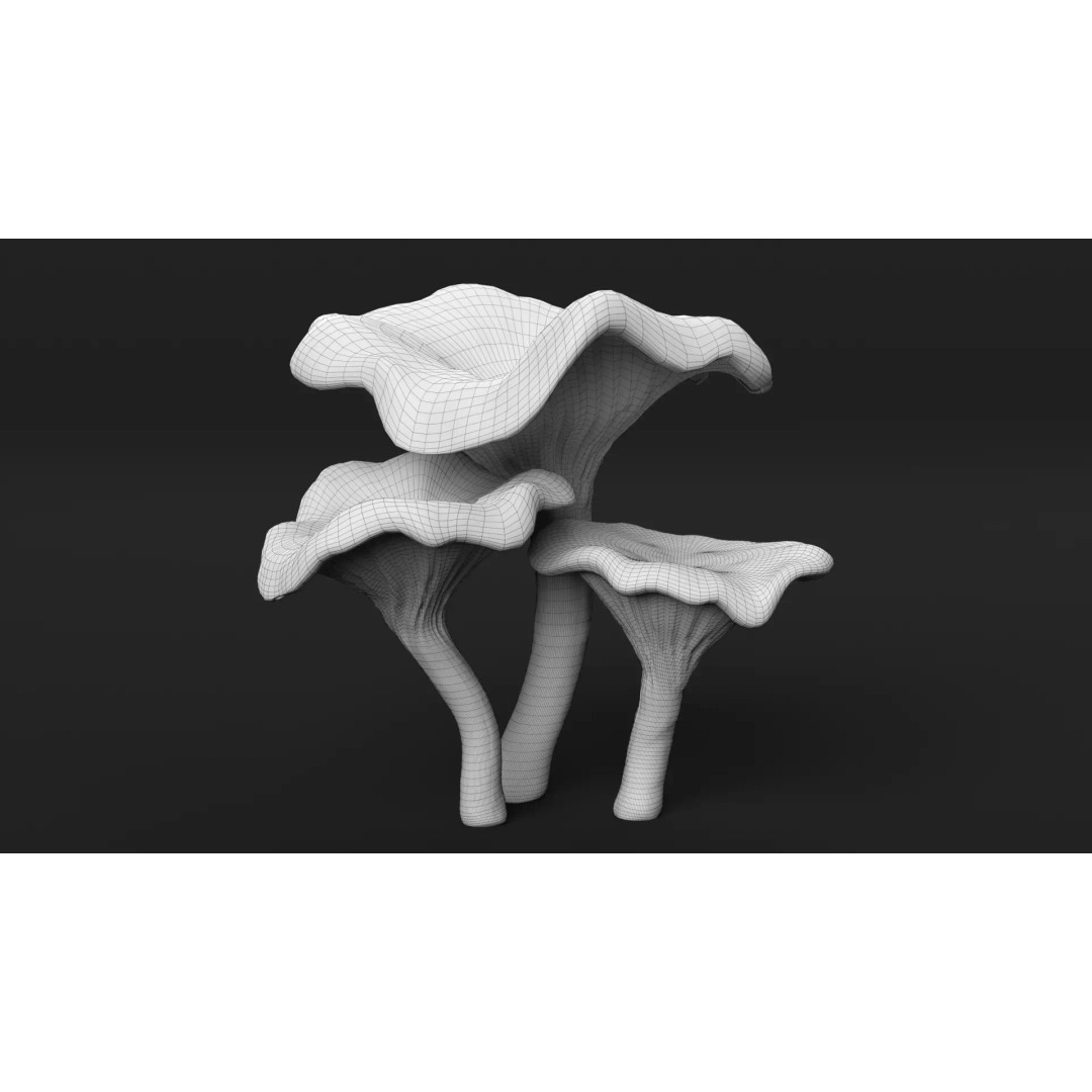 Chanterelle Mushrooms 3D Model – High Poly PBR Game Asset, FBX - View 12