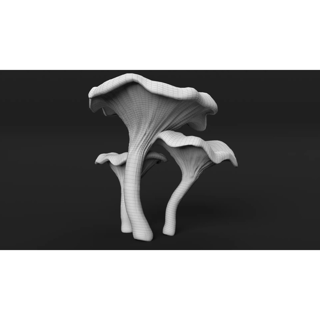 Chanterelle Mushrooms 3D Model – High Poly PBR Game Asset, FBX - View 13