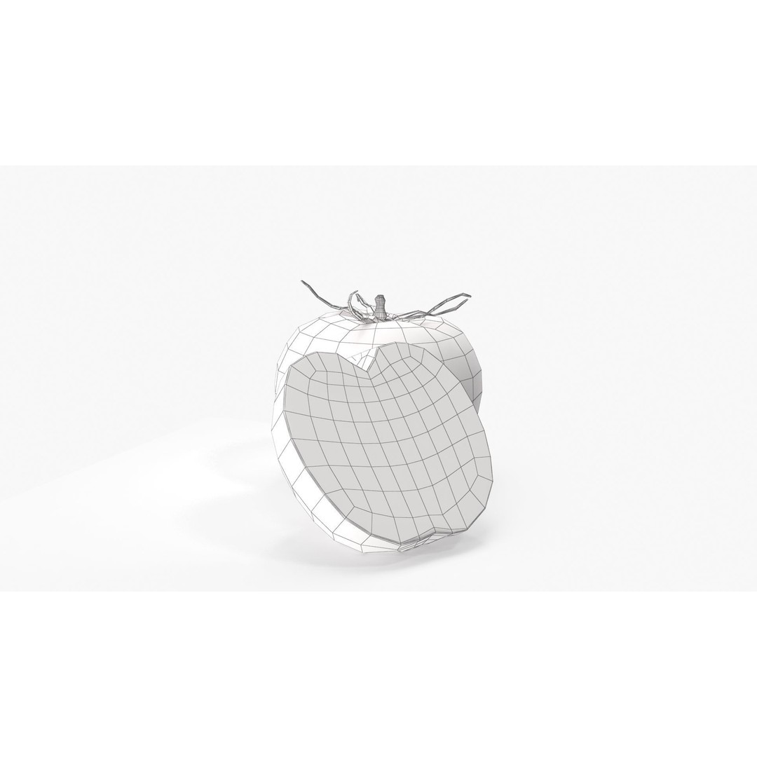 Tomato 3D Model – High Poly PBR Asset, FBX and Textures
