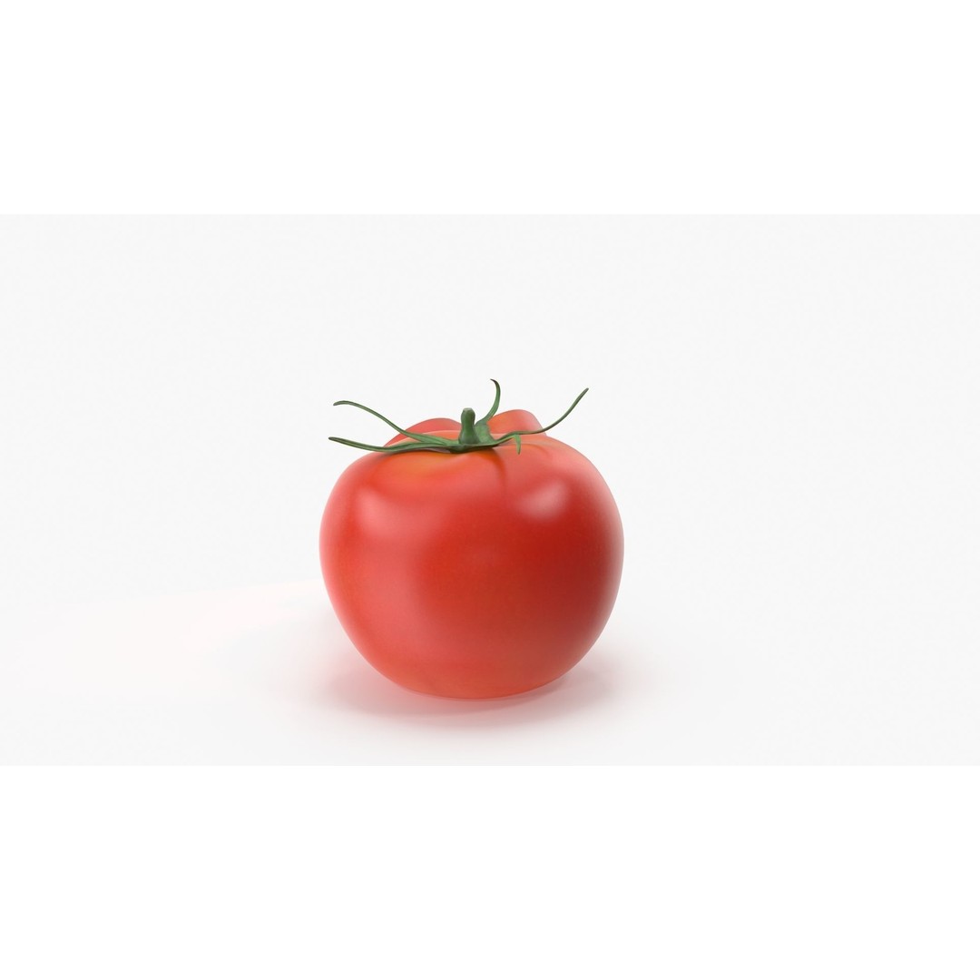 Tomato 3D Model – High Poly PBR Asset, FBX and Textures - View 5
