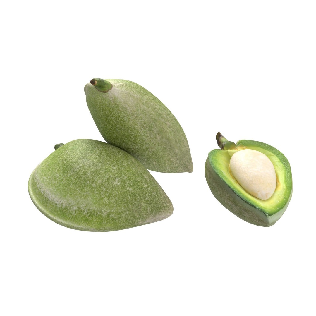 Almonds Collection 3D Model – Low Poly Food Asset, Blender, FBX, OBJ - View 17