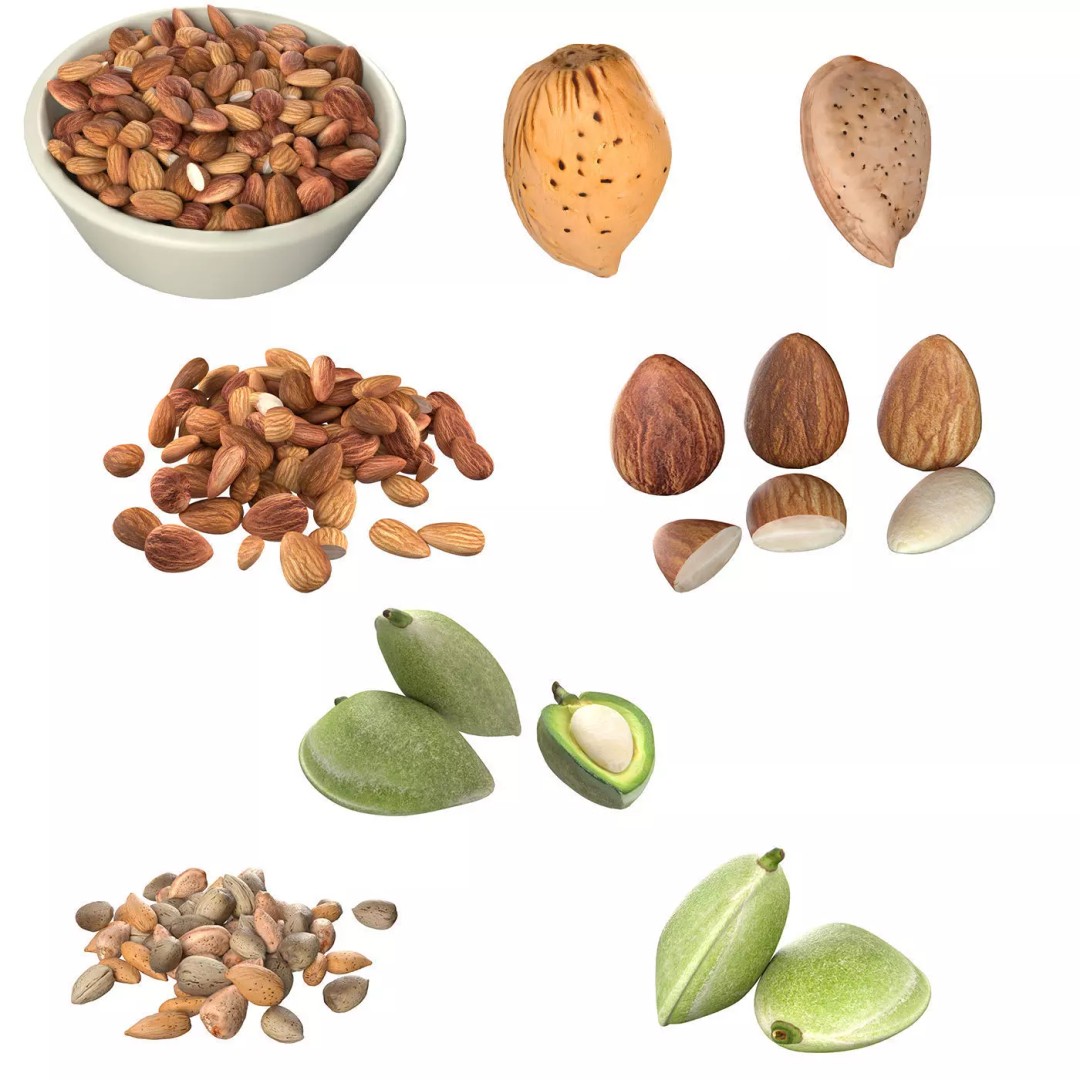 Almonds Collection 3D Model – Low Poly Food Asset, Blender, FBX, OBJ - View 2