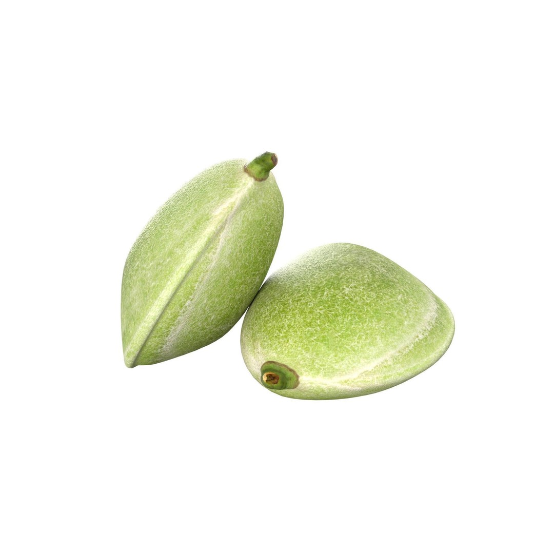 Almonds Collection 3D Model – Low Poly Food Asset, Blender, FBX, OBJ - View 22