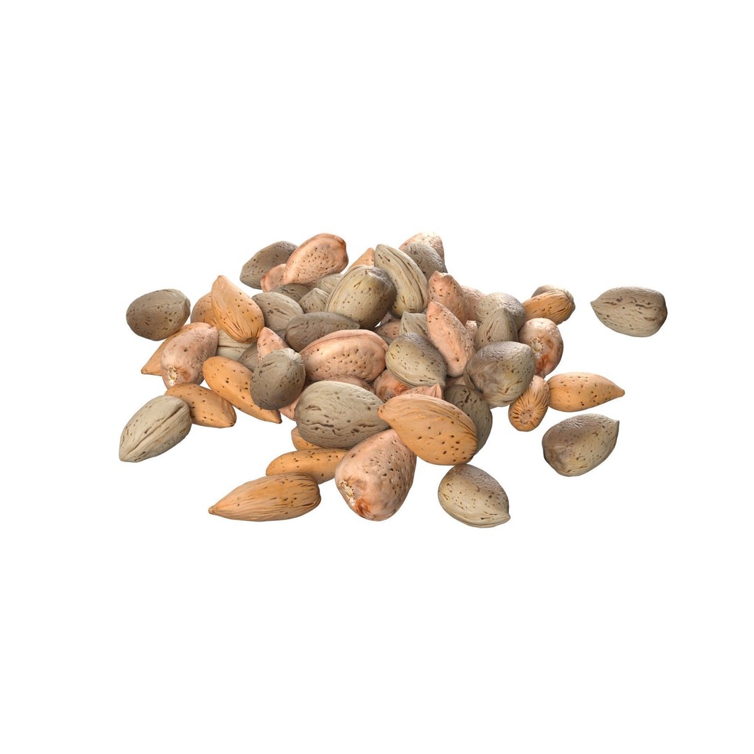 Almonds Collection 3D Model – Low Poly Food Asset, Blender, FBX, OBJ - View 23