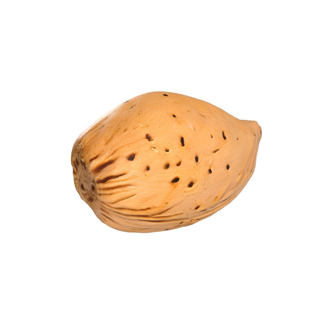 Almonds Collection 3D Model – Low Poly Food Asset, Blender, FBX, OBJ - View 5