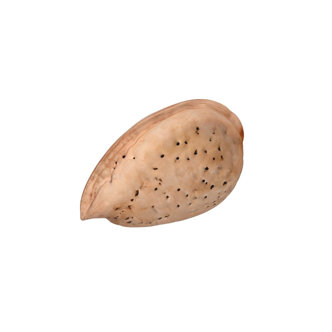 Almonds Collection 3D Model – Low Poly Food Asset, Blender, FBX, OBJ - View 7