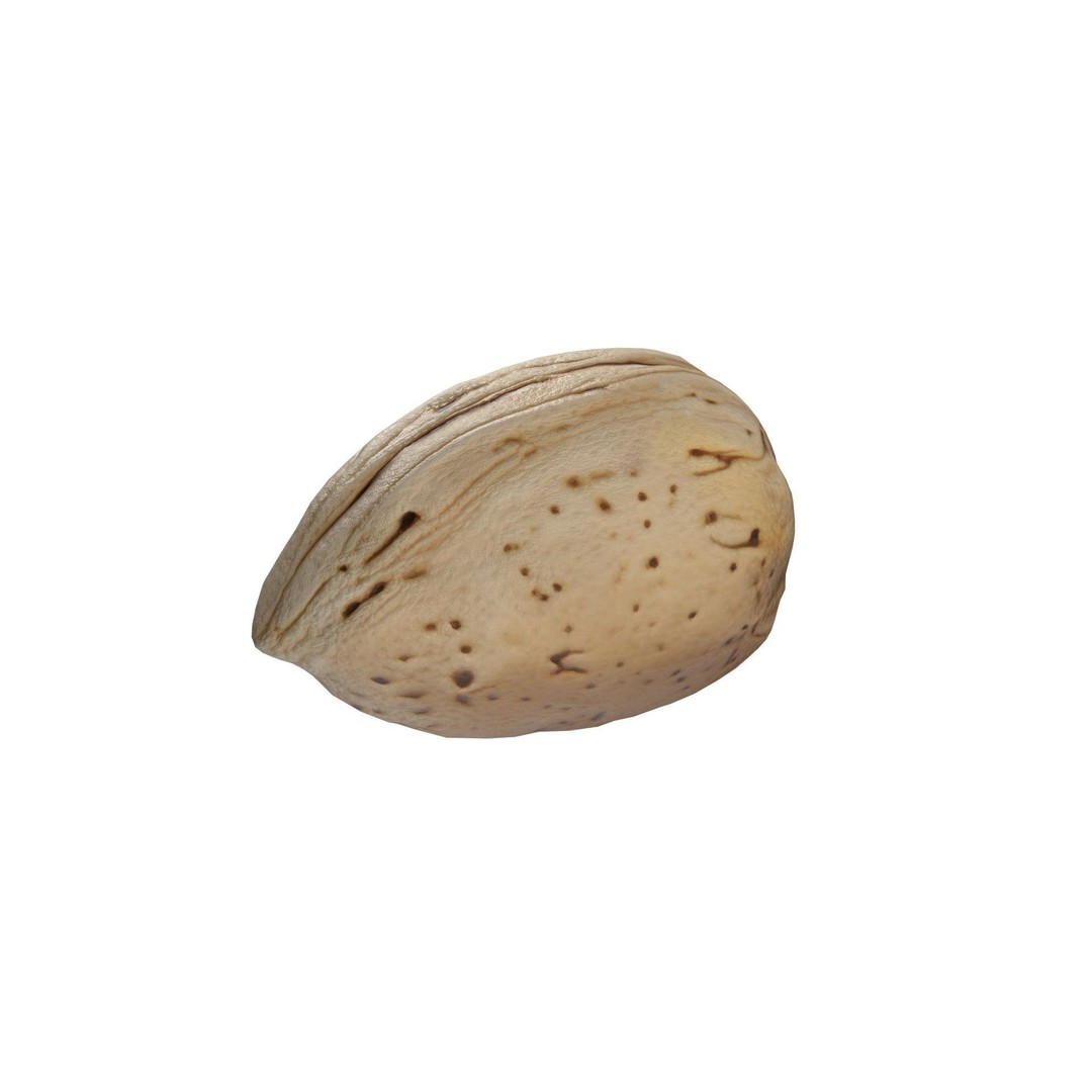 Almonds Collection 3D Model – Low Poly Food Asset, Blender, FBX, OBJ - View 9