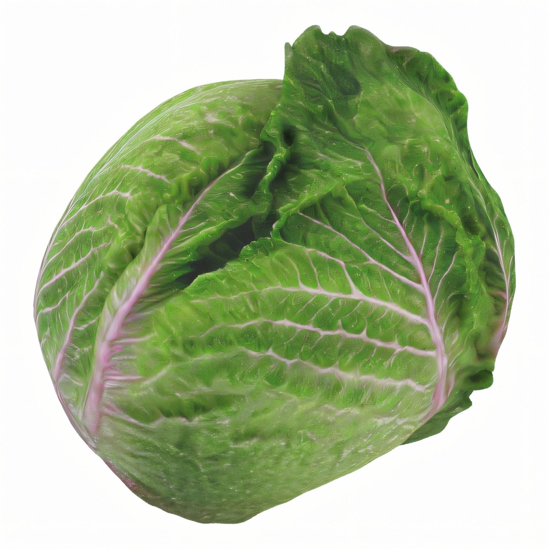 Hyper-Realistic Lettuce 3D Model – PBR Textured, FBX Format for Culinary Projects - View 10