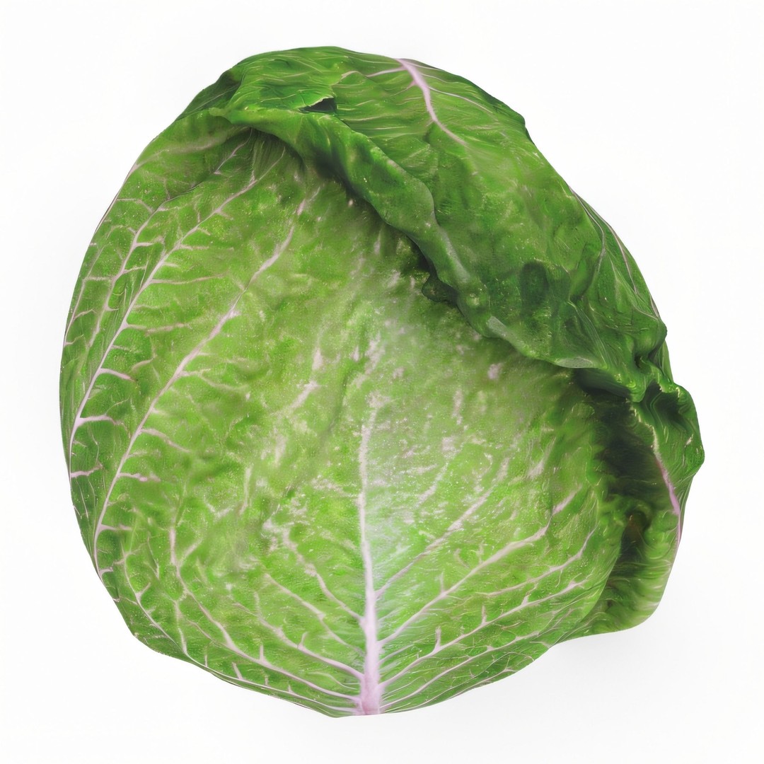 Hyper-Realistic Lettuce 3D Model – PBR Textured, FBX Format for Culinary Projects - View 12