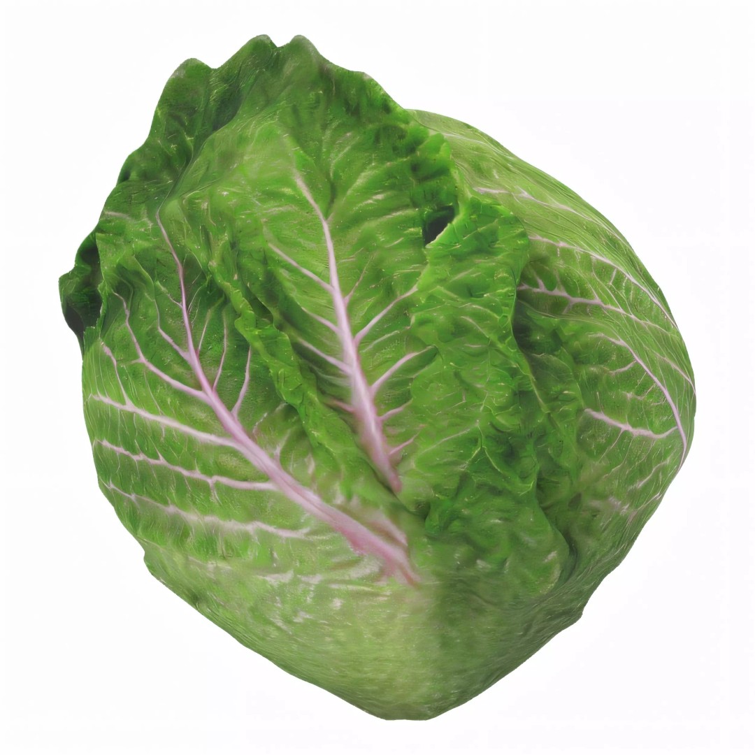 Hyper-Realistic Lettuce 3D Model – PBR Textured, FBX Format for Culinary Projects - View 2
