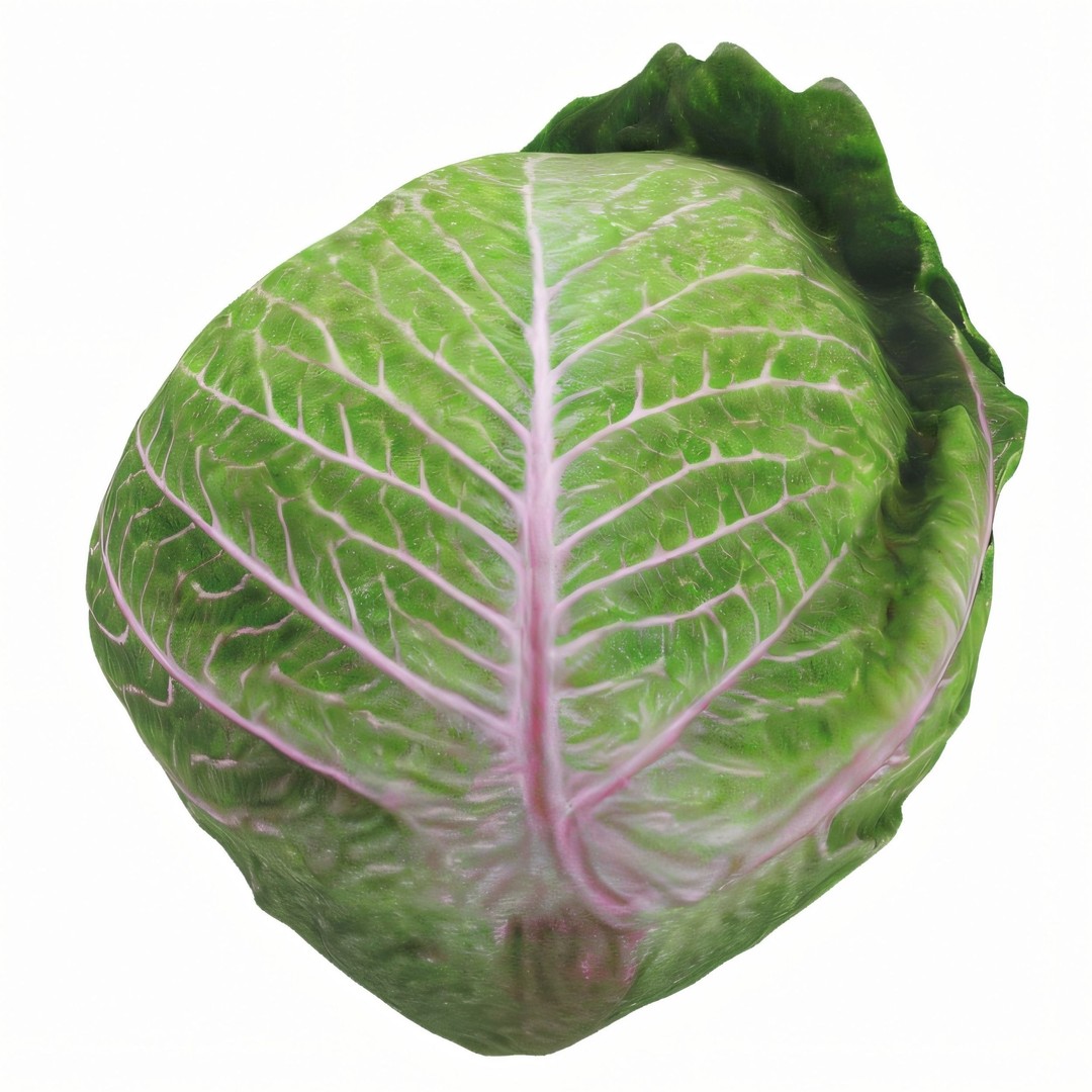 Hyper-Realistic Lettuce 3D Model – PBR Textured, FBX Format for Culinary Projects - View 4
