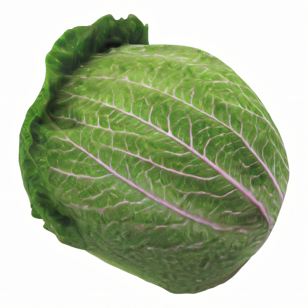 Hyper-Realistic Lettuce 3D Model – PBR Textured, FBX Format for Culinary Projects - View 6