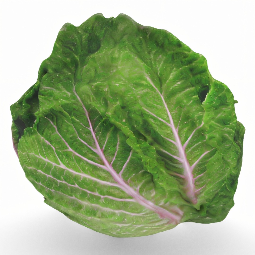 Hyper-Realistic Lettuce 3D Model – PBR Textured, FBX Format for Culinary Projects - View 8