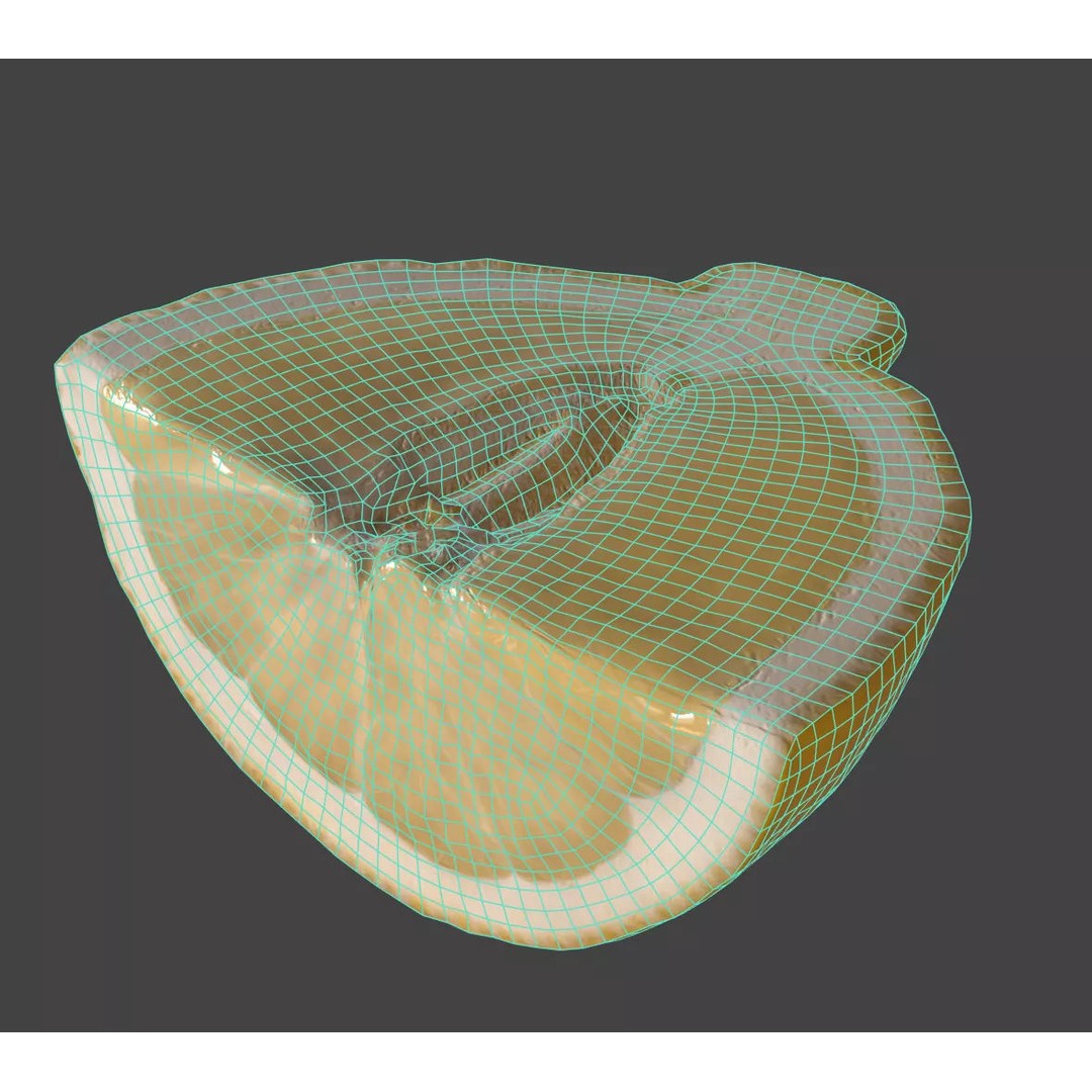 Lemon 3D Model – Photorealistic PBR Asset for Visualization - View 8