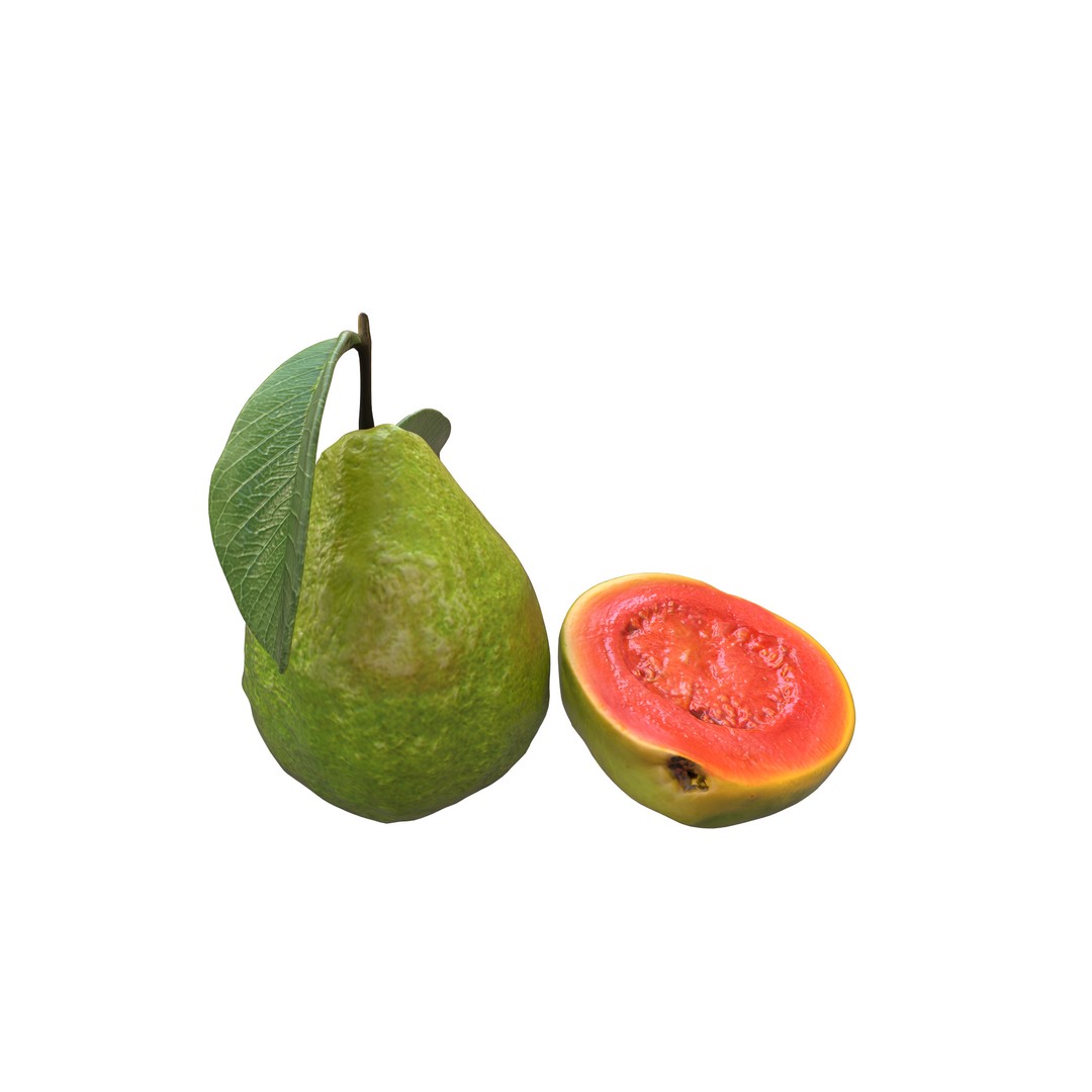 Guava 3D Model – Low Poly Game Asset, PBR Textures, FBX - View 10