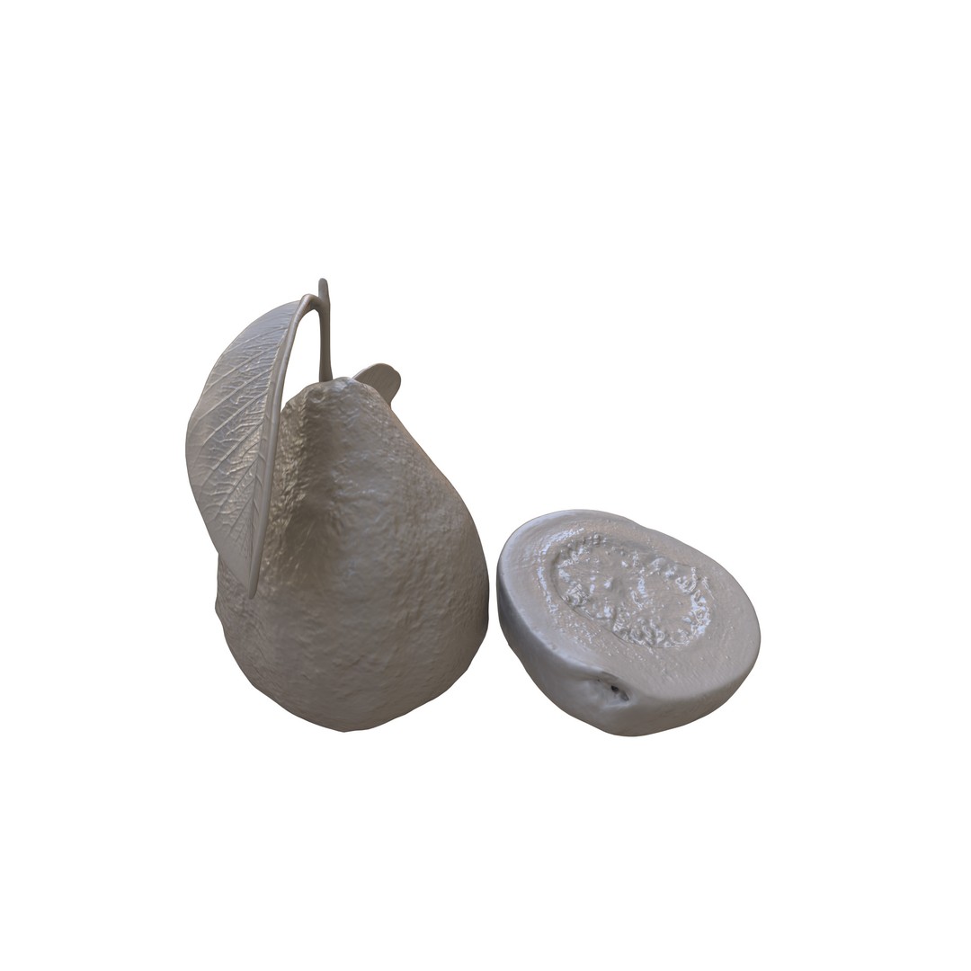 Guava 3D Model – Low Poly Game Asset, PBR Textures, FBX - View 11