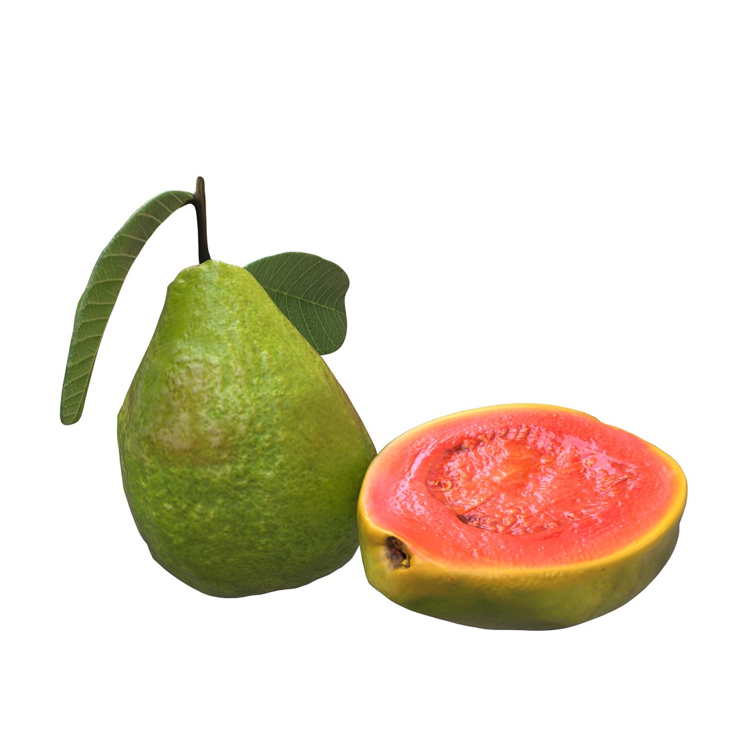 Guava 3D Model – Low Poly Game Asset, PBR Textures, FBX - View 13