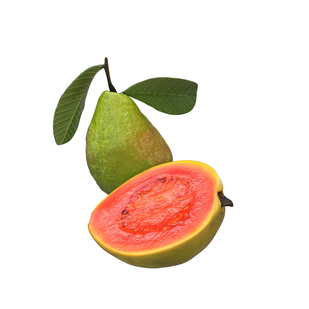 Guava 3D Model – Low Poly Game Asset, PBR Textures, FBX - View 14