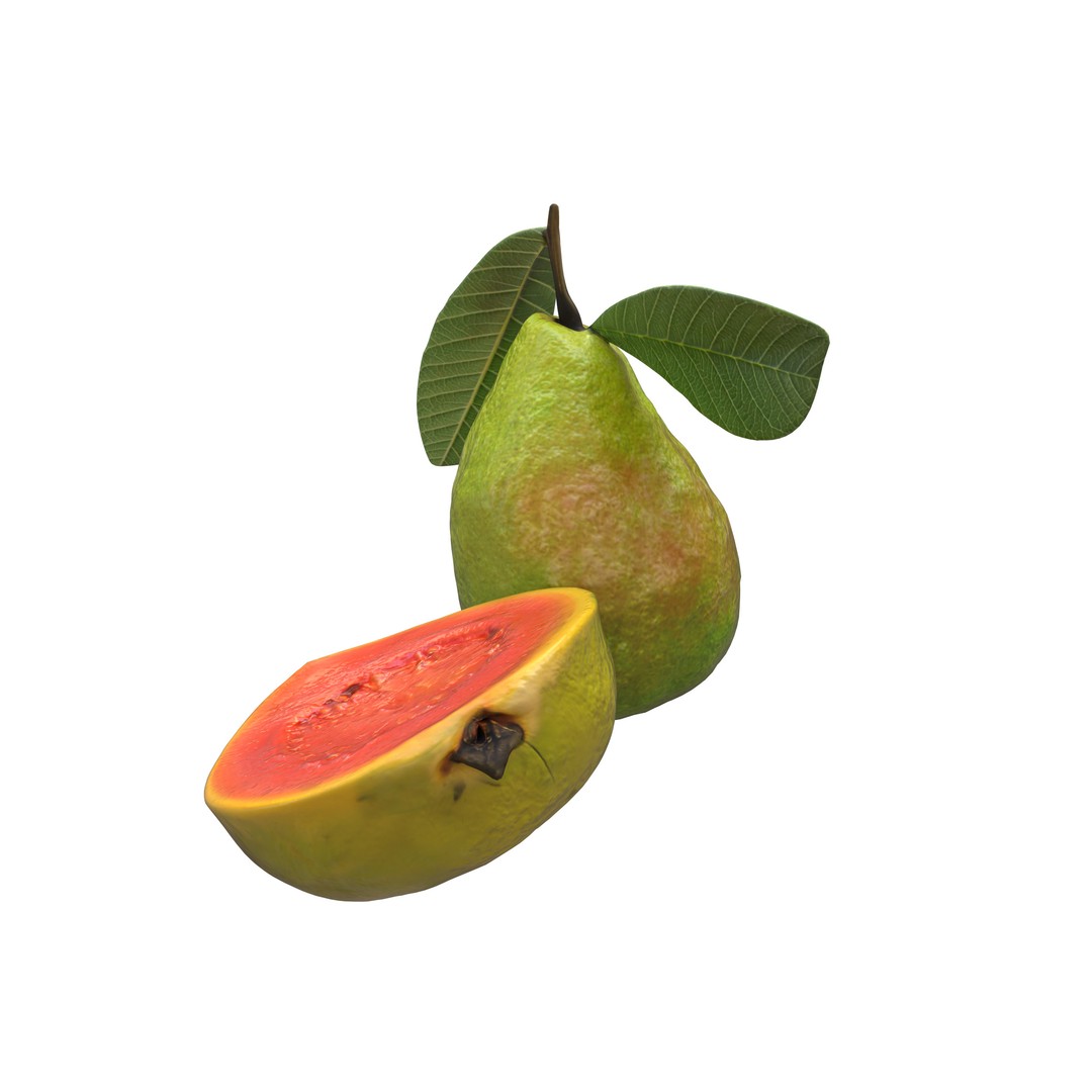 Guava 3D Model – Low Poly Game Asset, PBR Textures, FBX - View 15