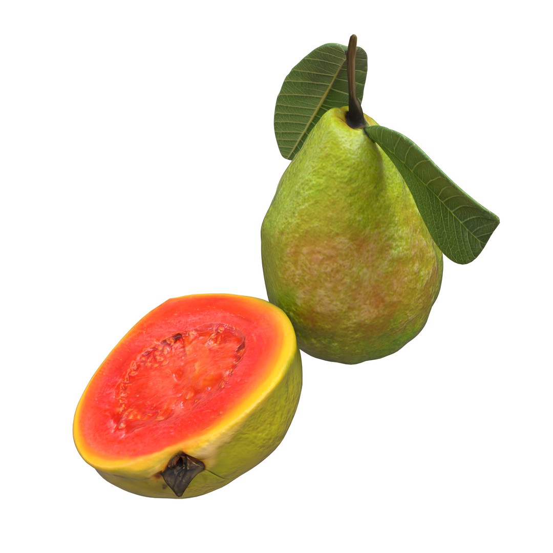 Guava 3D Model – Low Poly Game Asset, PBR Textures, FBX - View 16