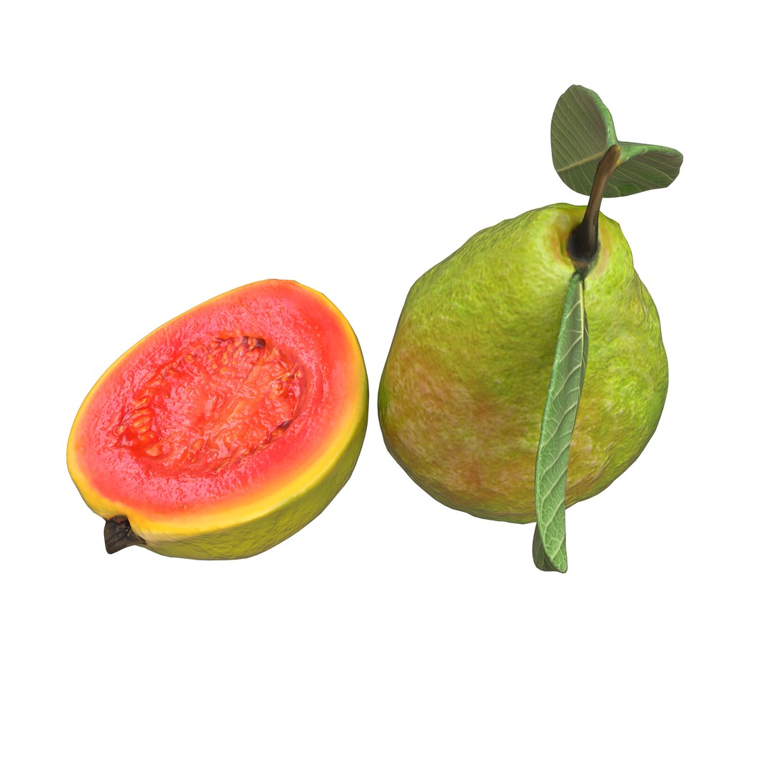 Guava 3D Model – Low Poly Game Asset, PBR Textures, FBX - View 17