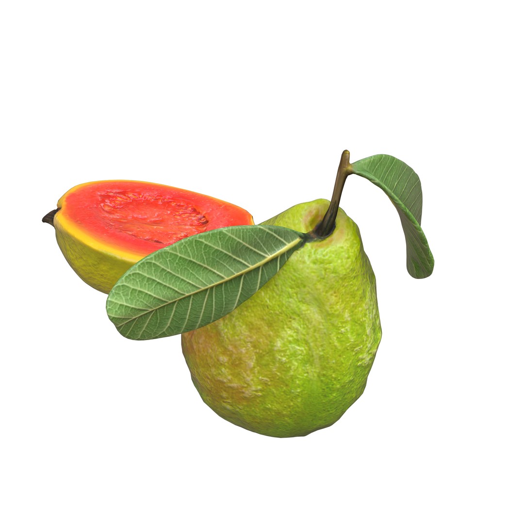 Guava 3D Model – Low Poly Game Asset, PBR Textures, FBX - View 18