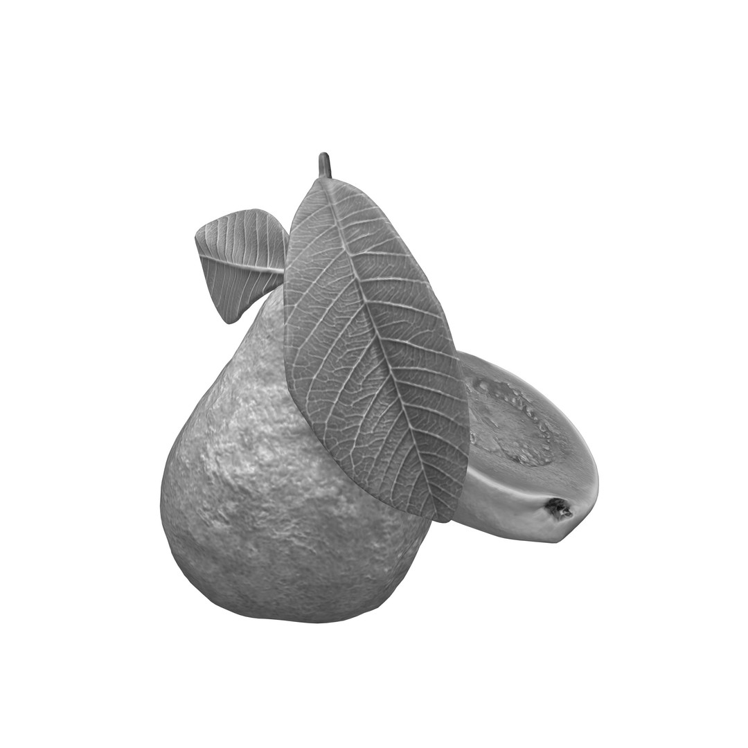 Guava 3D Model – Low Poly Game Asset, PBR Textures, FBX - View 19