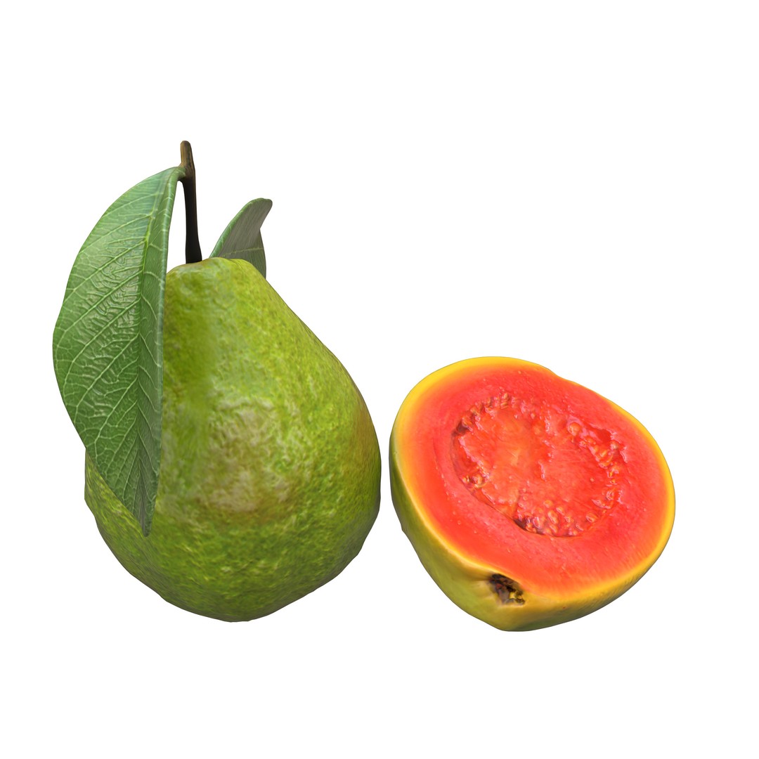 Guava 3D Model – Low Poly Game Asset, PBR Textures, FBX - View 20