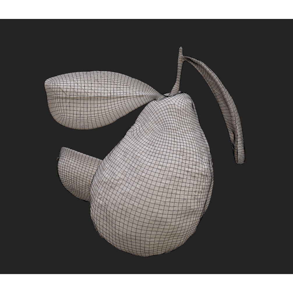 Guava 3D Model – Low Poly Game Asset, PBR Textures, FBX - View 24